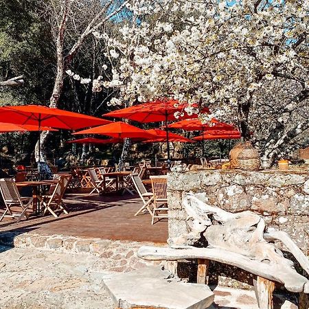 Auberge De La Foret Bonifatu كالينزانا المظهر الخارجي الصورة