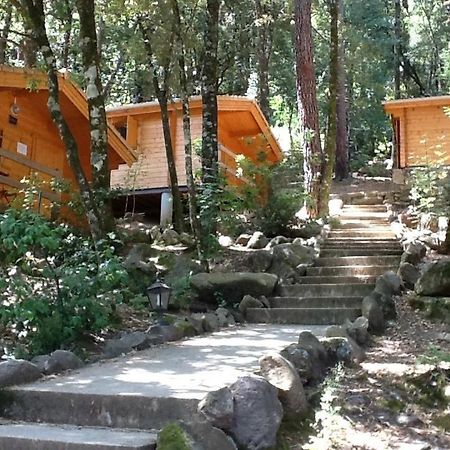Auberge De La Foret Bonifatu كالينزانا المظهر الخارجي الصورة