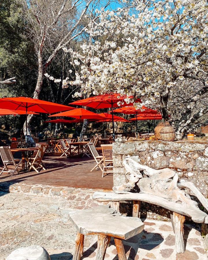 Auberge De La Foret Bonifatu كالينزانا المظهر الخارجي الصورة