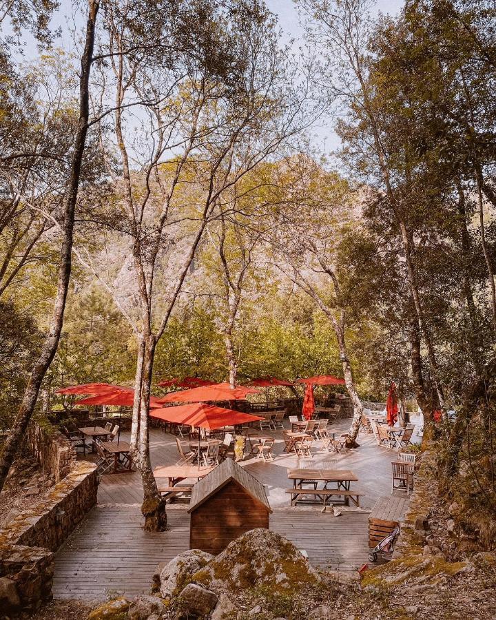 Auberge De La Foret Bonifatu كالينزانا المظهر الخارجي الصورة