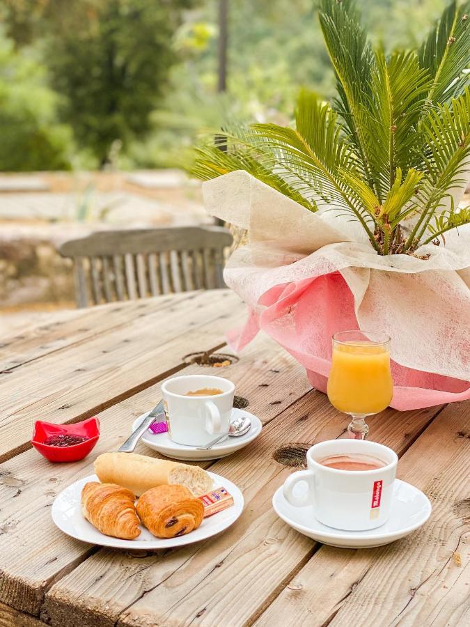 Auberge De La Foret Bonifatu كالينزانا المظهر الخارجي الصورة