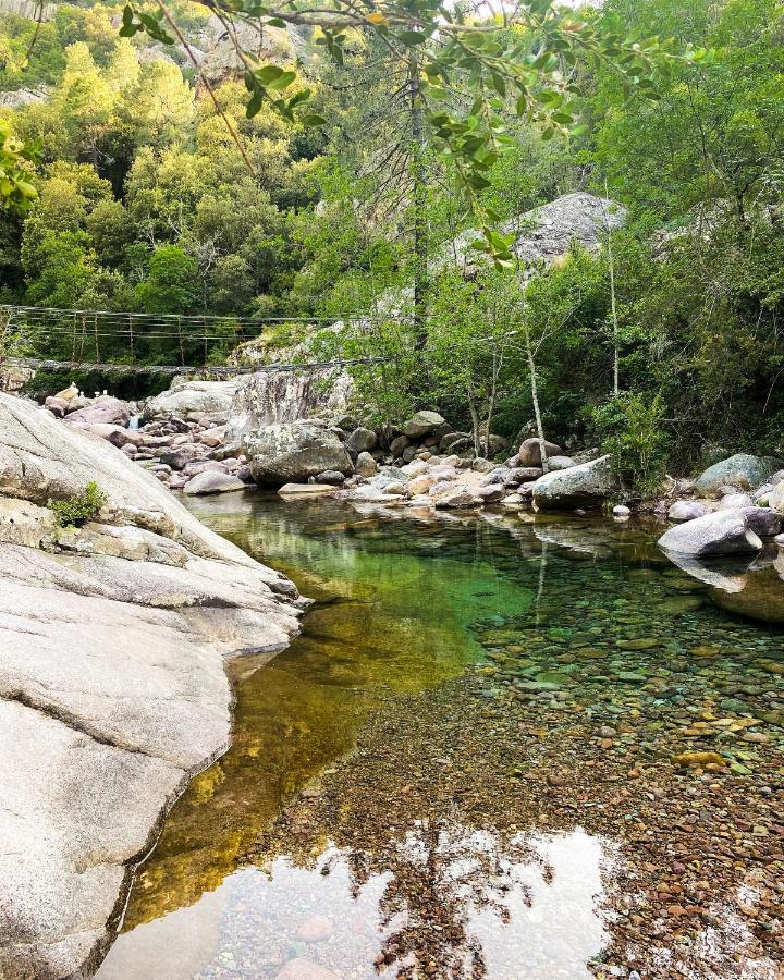 Auberge De La Foret Bonifatu كالينزانا المظهر الخارجي الصورة
