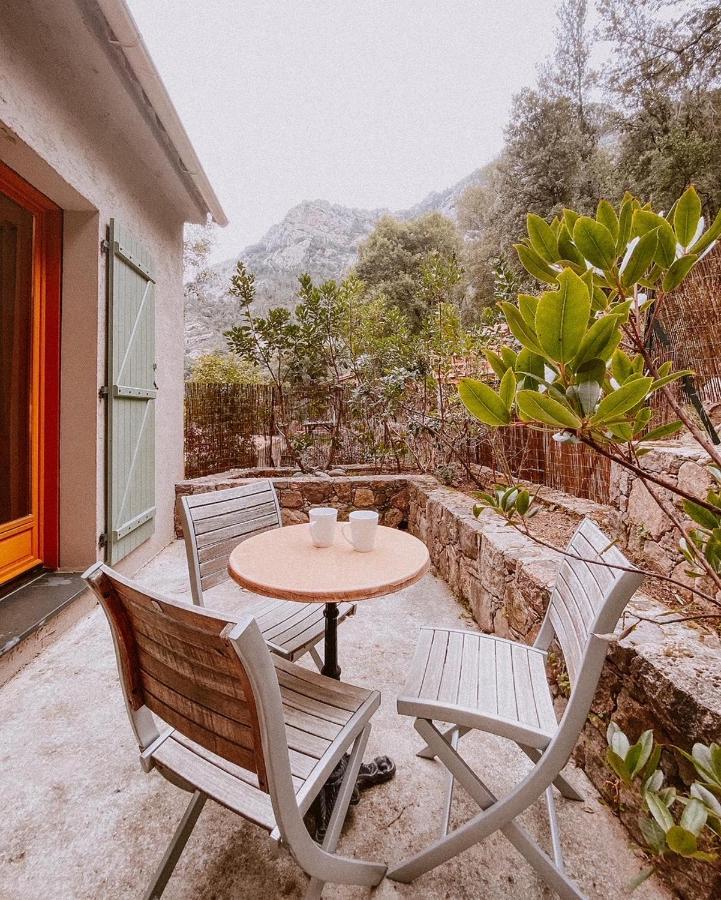 Auberge De La Foret Bonifatu كالينزانا المظهر الخارجي الصورة