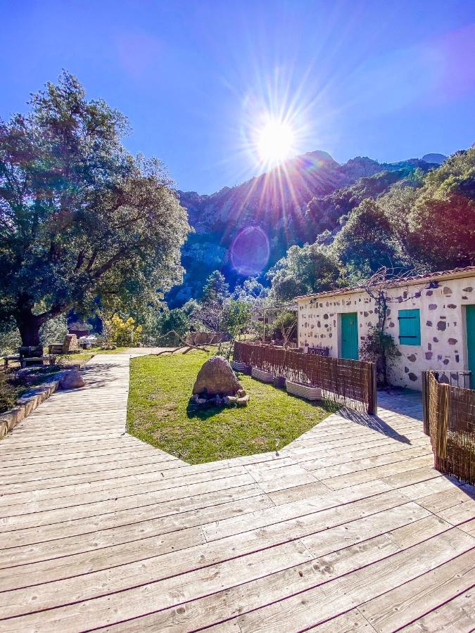 Auberge De La Foret Bonifatu كالينزانا المظهر الخارجي الصورة