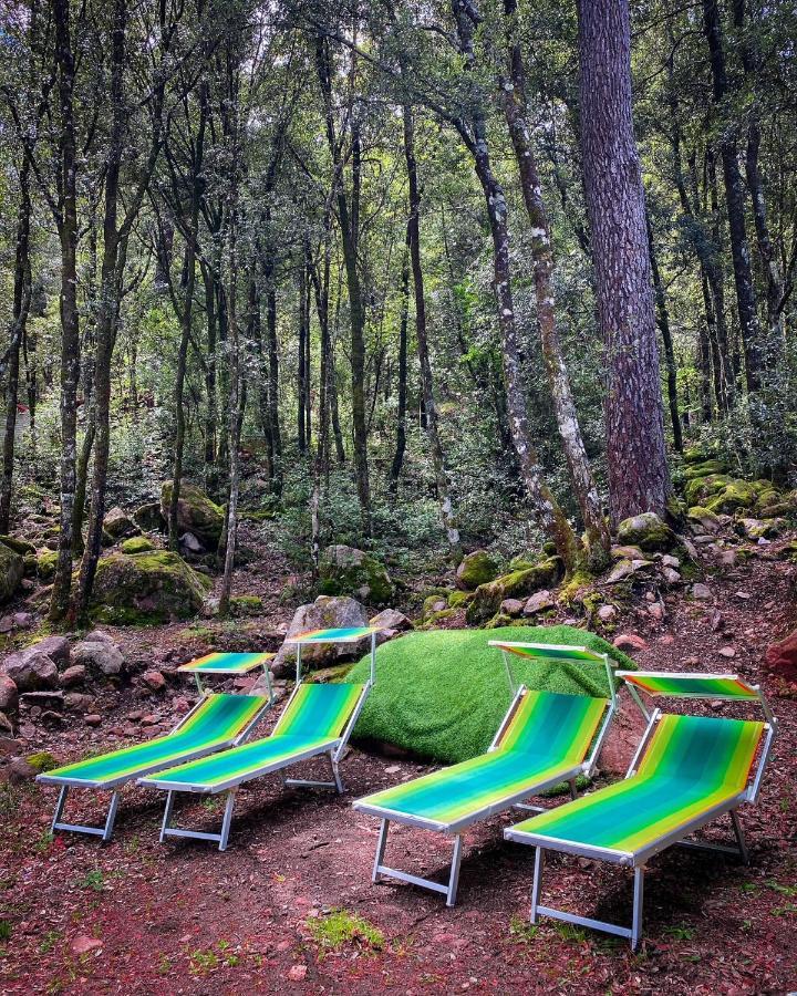 Auberge De La Foret Bonifatu كالينزانا المظهر الخارجي الصورة