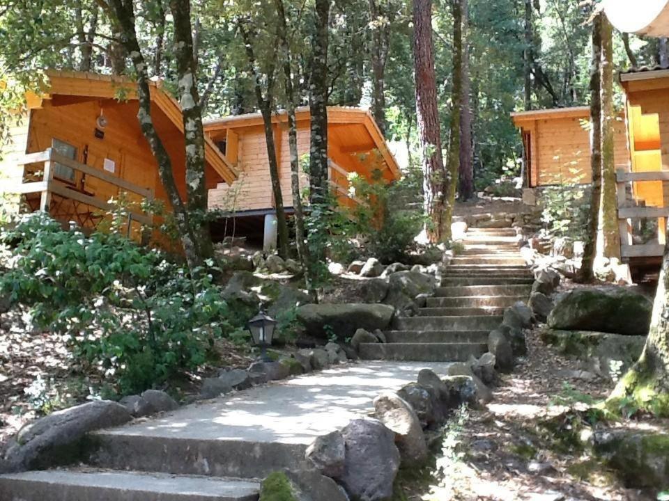 Auberge De La Foret Bonifatu كالينزانا المظهر الخارجي الصورة