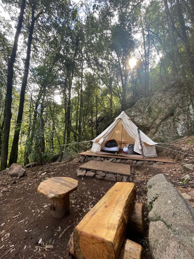 Auberge De La Foret Bonifatu كالينزانا المظهر الخارجي الصورة